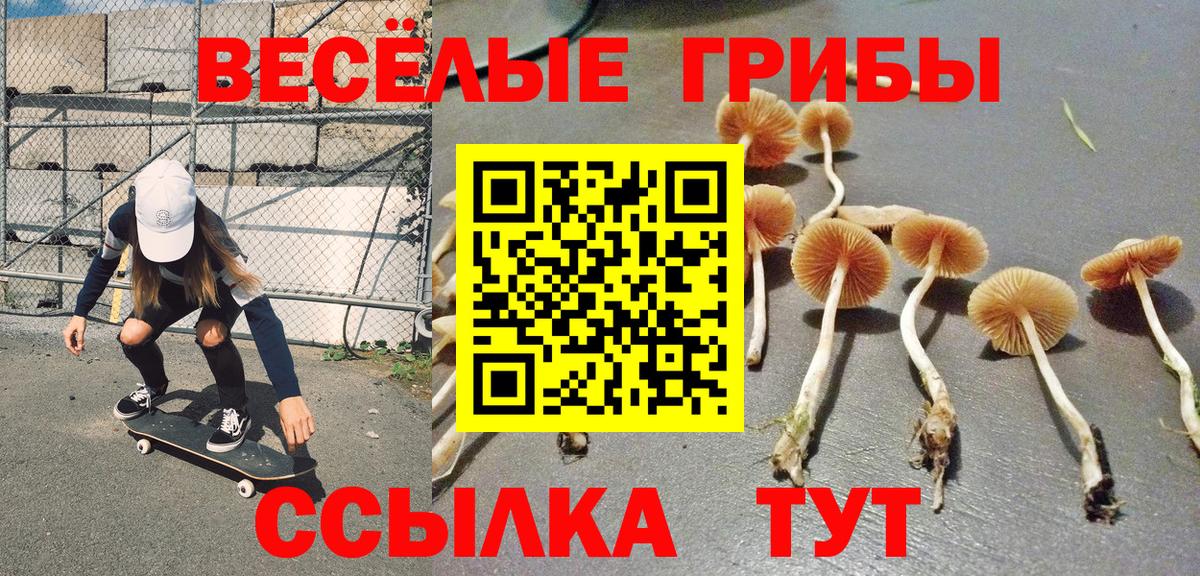 Галлюциногенные грибы Magic Shrooms Зеленогорск